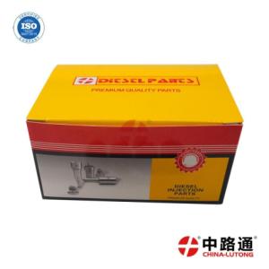Injection Pump Delivery Valves 131110-7820